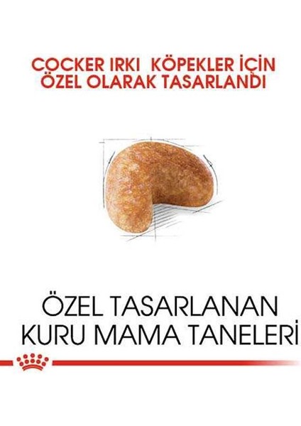 3kg Cocker Adult Yetişkin Köpek Maması