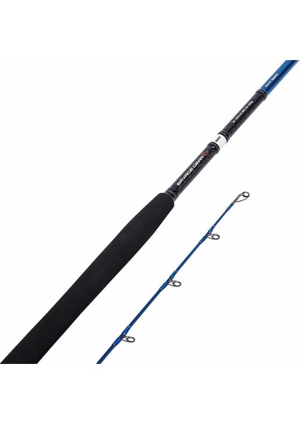 Savage Gear Sgs2 Shore Jigging 9'6''/2.90M 20-80 gr Spin Kamış