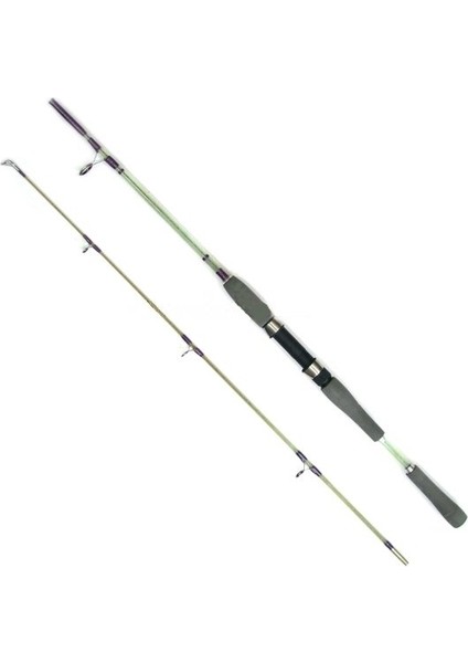 Silverstar High-Tech 15-30 Lb 2 Parça Dolgu Bot Kamışı