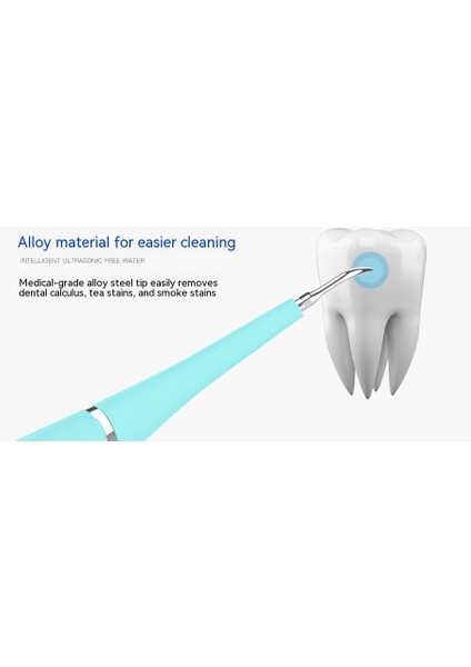 Elektrikli Diş Temizleyicileri Diş Bakımı Aletleri (Yurt Dışından)