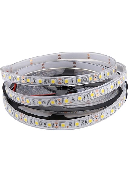 5m Smd 5050 Sulama Halat Işığı, 300 Leds IP68 Su Geçirmez, Dc 12V (Sıcak Beyaz) (Yurt Dışından)