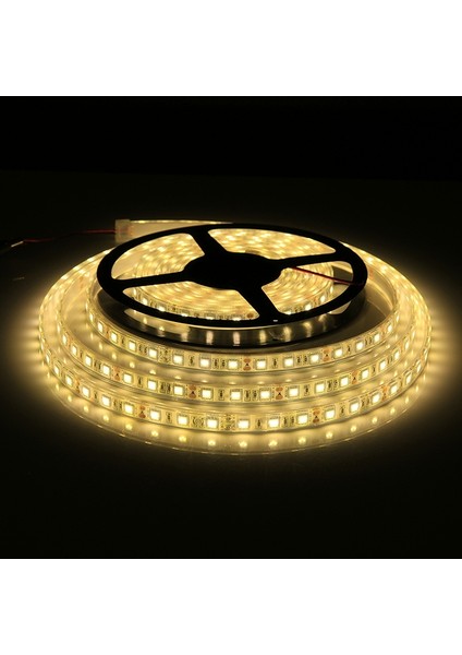 5m Smd 5050 Sulama Halat Işığı, 300 Leds IP68 Su Geçirmez, Dc 12V (Sıcak Beyaz) (Yurt Dışından)