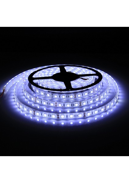 5m Smd 5050 Sulama Halat Işığı, 300 Leds IP68 Su Geçirmez, Dc 12V (Beyaz Işık) (Yurt Dışından)