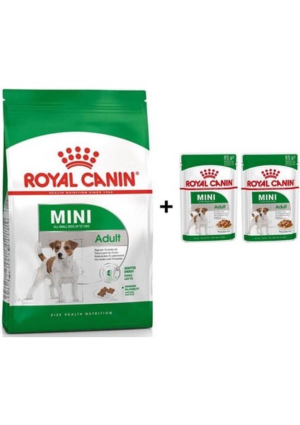 Mini Adult Köpek Maması 2 kg + 2 Adet Yaş Mama Hediye