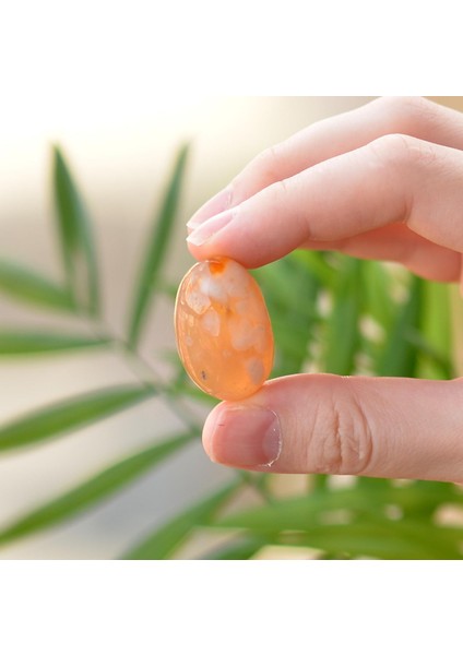 Çiçek Akik Taşı Kütle - Flower Agate