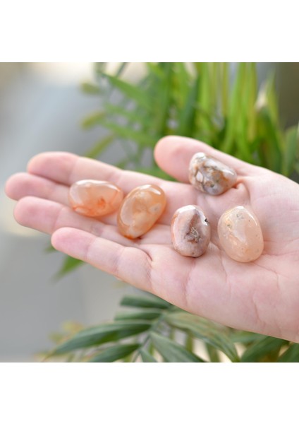 Çiçek Akik Taşı Kütle - Flower Agate fiyatları