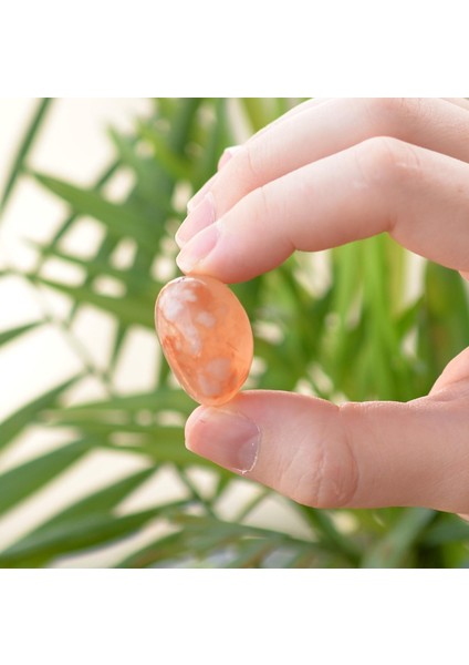 Çiçek Akik Taşı Kütle - Flower Agate fırsatları