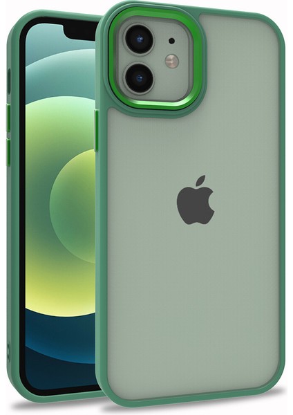 Apple Iphone 12 Pro Kılıf Silikon Kenarlı Arkası Şeffa Renkli Flora Sert Kapak
