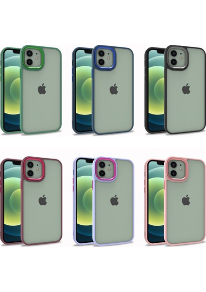 Apple Iphone 11 Pro Max Kılıf Silikon Kenarlı Arkası Şeffa Renkli Flora Sert Kapak