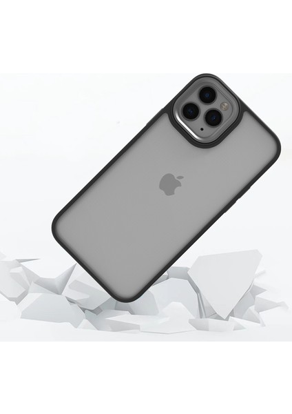 Apple Iphone 11 Pro Max Kılıf Silikon Kenarlı Arkası Şeffa Renkli Flora Sert Kapak