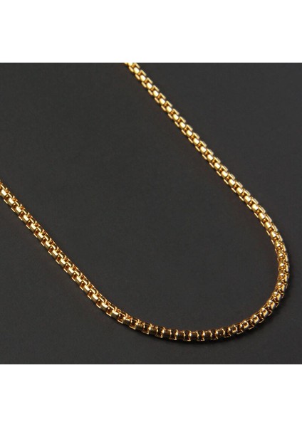 2mm Paslanmaz Çelik Kolye - Altın (Yurt Dışından)