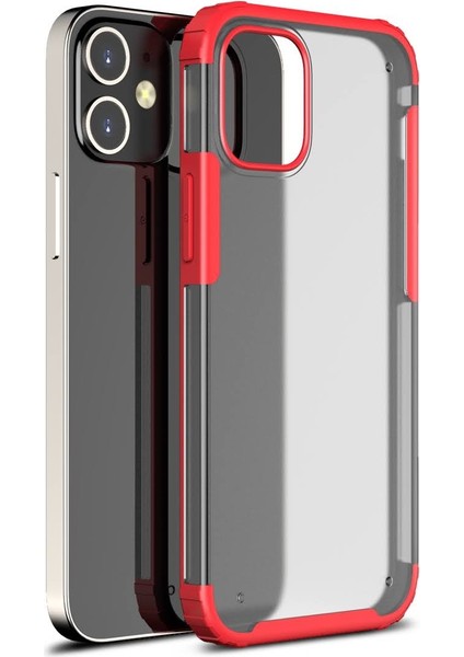 Apple Iphone 12 Mini Kılıf Silikon Kenarlı Sert Buzlu Volks Kapak