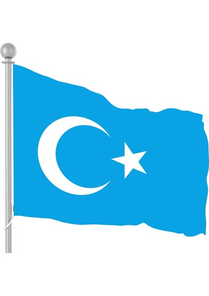 Doğu Türkistan Bayrağı 20X30CM