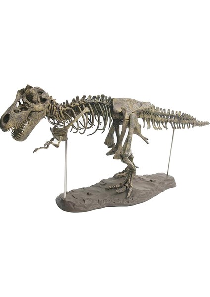 4d Dinozor Iskelet Modeli Bloklar Kitler Erkekler Için Hediye Erkek Kız Kızlar 70X12X22CM