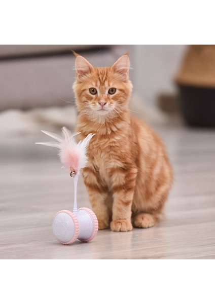 Tüylü Sopa Kedi Oyuncak (Yurt Dışından) modelleri