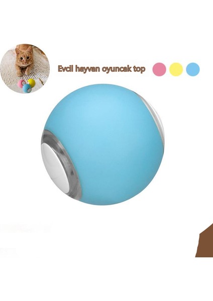Parıltılı Top Kedi Oyuncak (Yurt Dışından) fiyatları