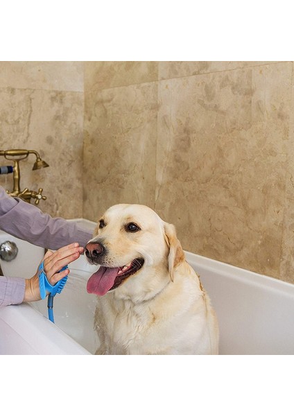 Pet Banyo Artefakt Köpekler Silikon Masaj Temiz Fırça (Yurt Dışından) modelleri