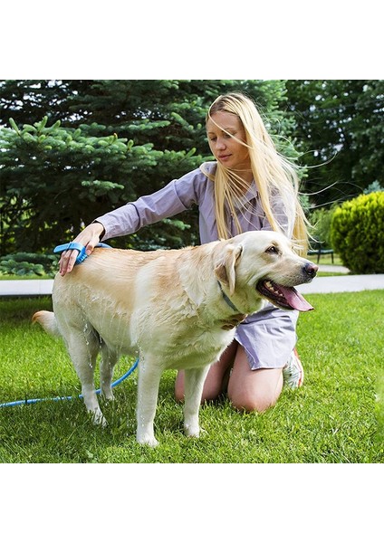 Pet Banyo Artefakt Köpekler Silikon Masaj Temiz Fırça (Yurt Dışından) fırsatları