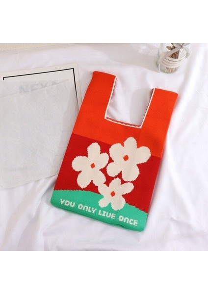 Örme Renk Engelleme Kadın Çanta (Yurt Dışından)