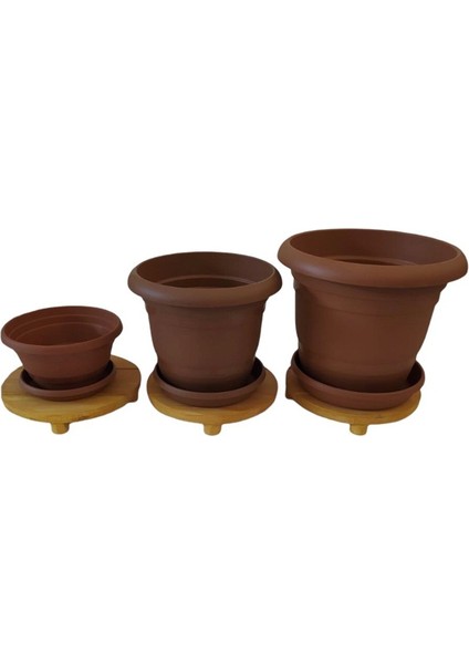 Ahşap Çam Ağacı Saksılık Çiçeklik Saksı Altlığı 3 Adet Çap 20 Cm