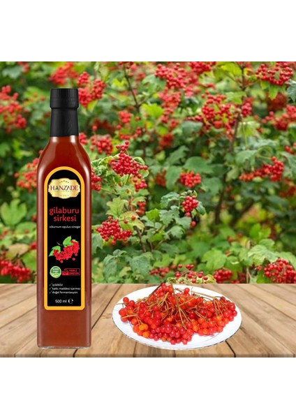 Gilaburu Sirkesi Doğal Fermantasyon İçilebilir Katkısız Cam Şişe 3 x 500 ml