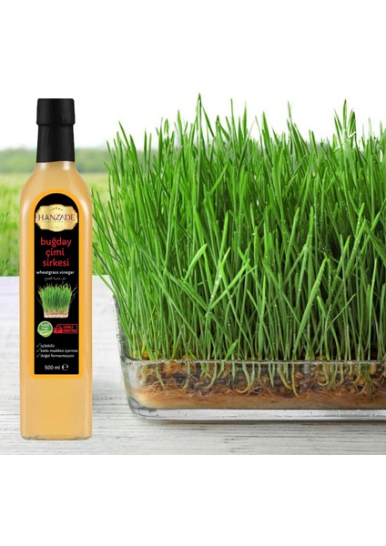 Buğday Çimi Sirkesi Doğal Fermantasyon İçilebilir Katkısız Cam Şişe 3 x 500 ml