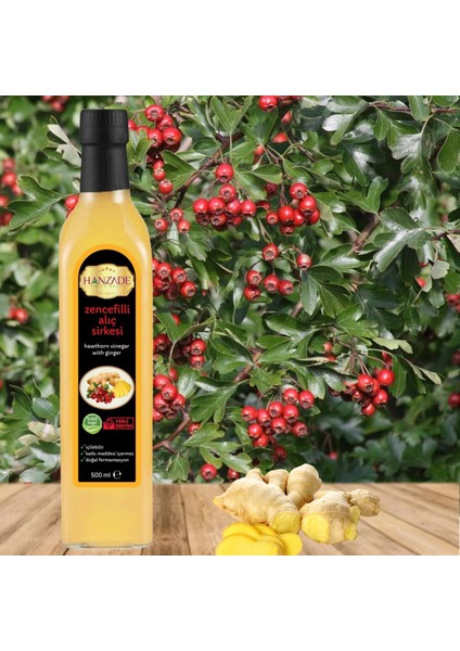 Zencefilli Alıç Sirkesi Doğal Fermantasyon İçilebilir Katkısız Cam Şişe 2 x 500 ml modelleri