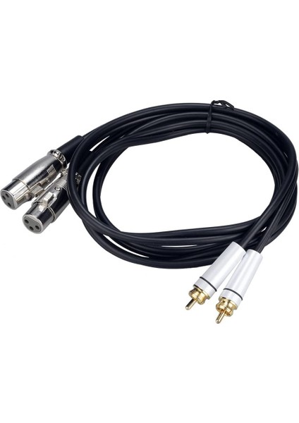 BK Teknoloji 3 Metre 2 Xlr Dişi 2 Rca Erkek Mikser Mikrofon Ses Kablosu