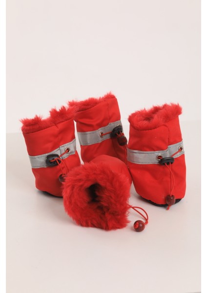 Köpek Botu fiyatları