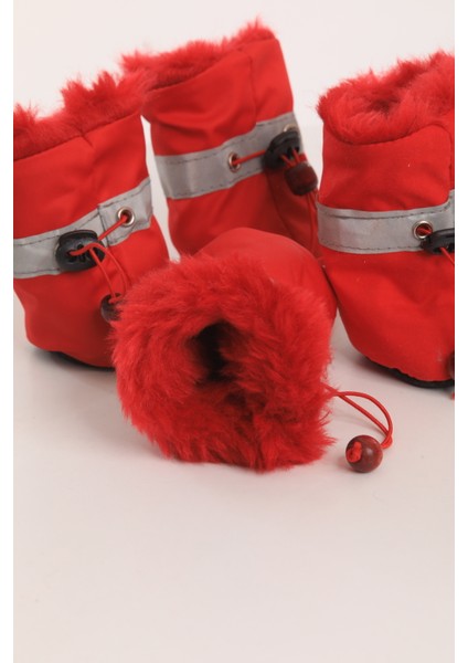 Köpek Botu fırsatları