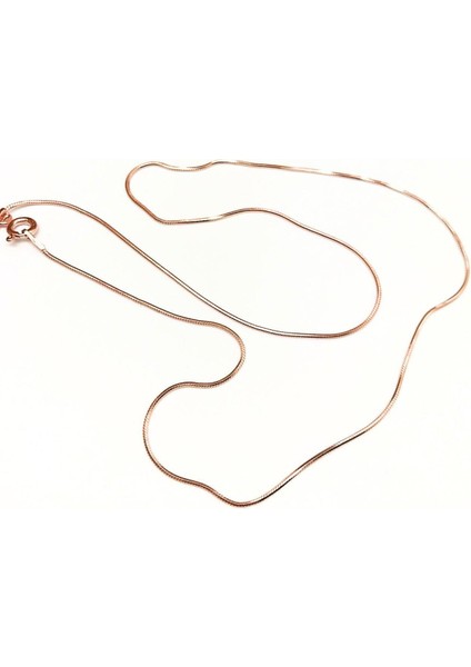 Gümüş Ince Yılan Model Boyun Zinciri