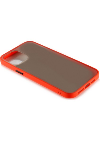 Apple Iphone 12 Pro Max Kılıf Renkli Silikon Kenarlı Buzlu Fri Kapak