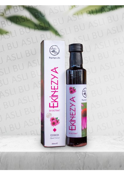 Ekinezya Sıvı Ekstraktı 250 ml 3'lü