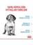 Medium Puppy Yavru Köpek Maması 15 kg 5