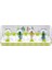Seasoning Shakers Dört Mevsim Baharatlık 4