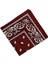 2pcs Erkekler Paisley Baskı Kovboy Bandana Eşarp Kafa Şarfı Bilgisayar(Yurt Dışından) 2