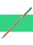 : Design Kuru & Sulu Boya Kalem Yedeği : Green 1