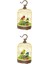 2x Şarkı Söyleyen Kuş Swing Toy Masaüstü Ekran Yetişkinler 1