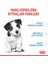 2kg Mini Puppy Yavru Köpek Maması 4