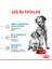 4kg Medium Starter Köpek Maması 5