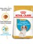 1.5Kg Cavalier King Charles Puppy Yavru Köpek Maması 2