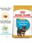 1.5kg Yorkshire Terrier Puppy Yavru Köpek Maması 2