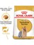 1.5kg Yorkshire Terrier Adult Yetişkin Köpek Maması 2