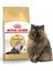 Royal Canin 2Kg PERSIAN Adult Yetişkin Kedi Maması 5