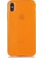 Apple Iphone X-Xs Kılıf Renkli Fosforlu Mun Silikon 1