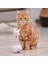 Tüylü Sopa Kedi Oyuncak (Yurt Dışından) 3