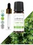 Thyme Oil - Oregano Oil - Thymus Oleum - Aromatherapy Essential Oil 4