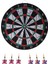 Dart Tahtası 15 Inç Çift Taraflı Ev Kapalı Oyun 6 Bar Pub Için Pirinç Dart 2