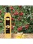 Zencefilli Alıç Sirkesi Doğal Fermantasyon İçilebilir Katkısız Cam Şişe 2 x 500 ml 3
