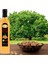 Enginar - Ceviz Sirkesi Doğal Fermantasyon İçilebilir Katkısız Cam Şişe 500 ml 2'li 5